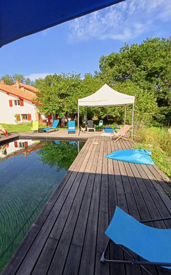 Chambres Maison Labourdasse Saint-Martin-de-Hinx Dış mekan fotoğraf