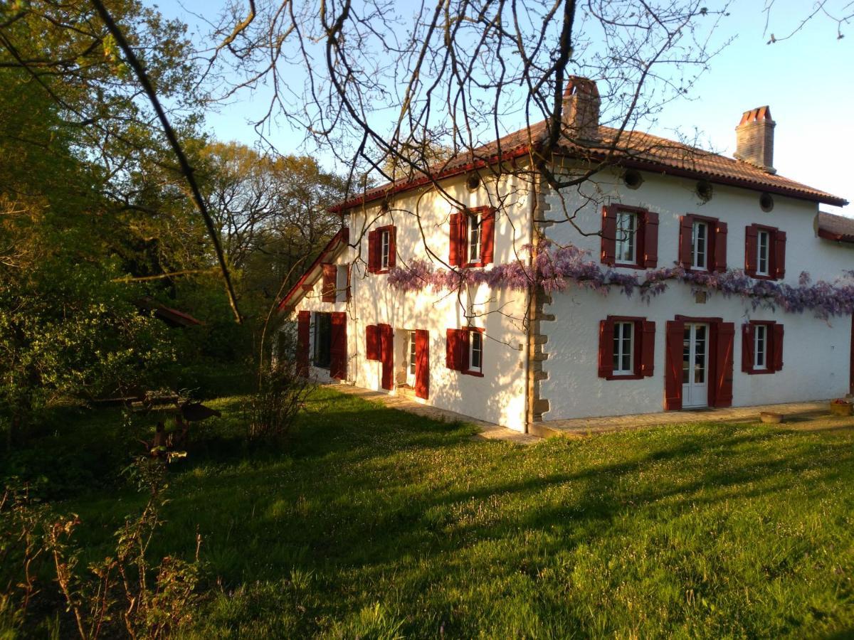 Chambres Maison Labourdasse Saint-Martin-de-Hinx Dış mekan fotoğraf